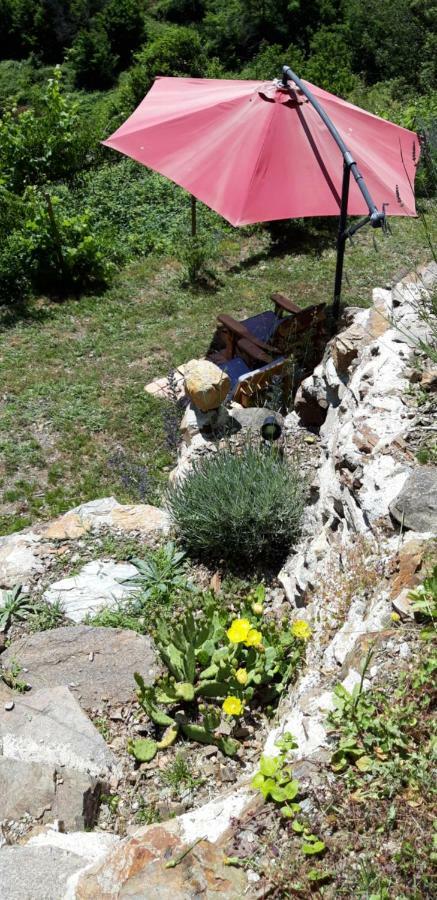 Gites Chez Daniel "Cevennes 1" Mars  Extérieur photo